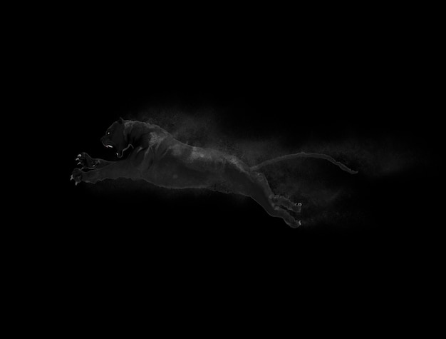 Ein schwarzer Panther, der mit Staub-Partikel-Effekt auf Gray Background sich bewegt und springt