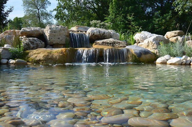 Ein Schwimmbad mit umweltfreundlicher natürlicher Filtration