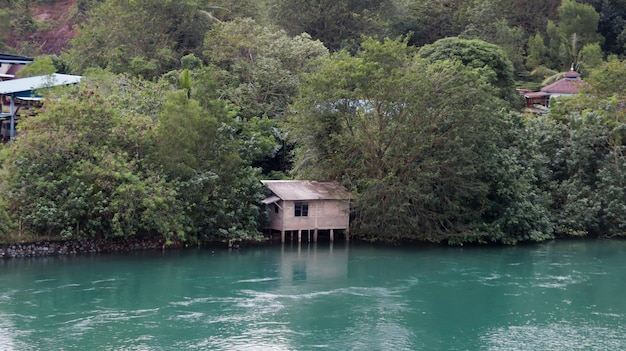 Ein schwimmendes Holzhaus, umgeben von Bäumen, die von einem Fluss mit grünem Wasser versteckt sind