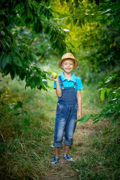 Ein sechsjähriger Junge steht in einem blauen Kleid und Hut in einem Garten mit Apfelbäumen und hält einen Apfel in der Hand