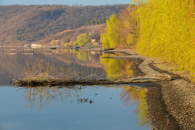 ein See mit einem Baum im Vordergrund und einem See im Hintergrund