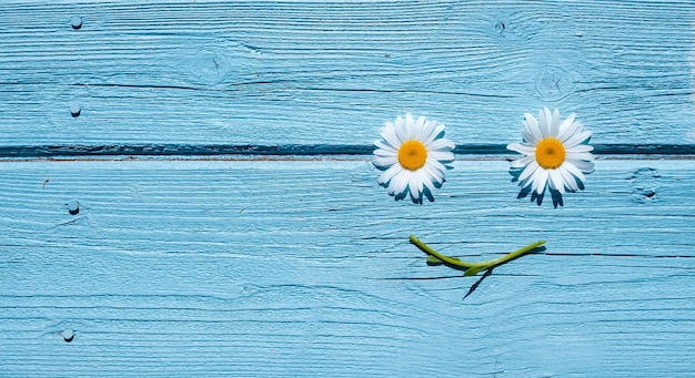 Ein Smiley aus Gänseblümchen auf weißem Holzhintergrund Sommerfrühlingssymbolgesicht