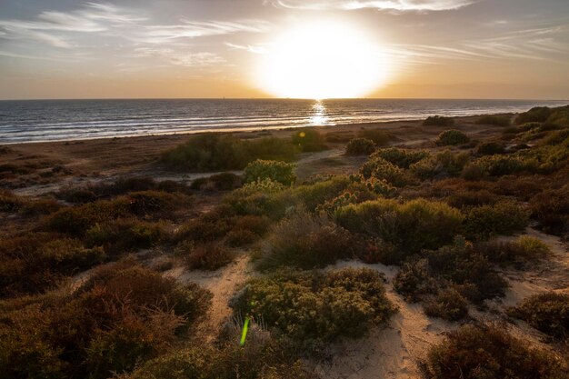 Foto ein sonnenuntergang am strand von mazagon huelva spanien mit vegetation und kakteen