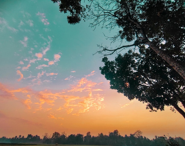 Foto ein sonnenuntergang mit einem baum im vordergrund und einem himmel mit wolken im hintergrund.