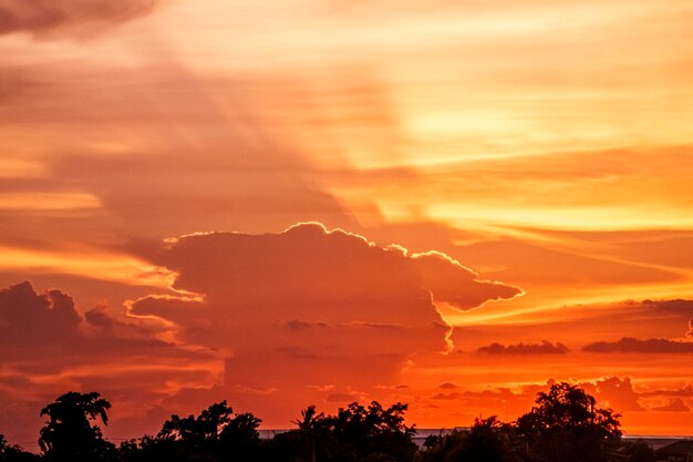 Ein Sonnenuntergang mit einem Schaf am Himmel