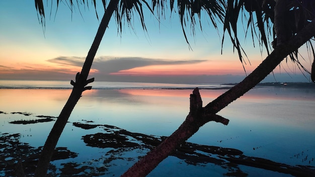 Foto ein sonnenuntergang über dem meer mit einer palme im vordergrund.