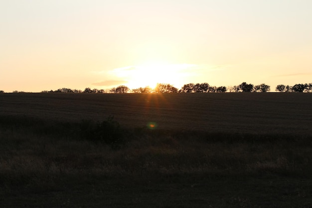 Ein Sonnenuntergang über einem Feld