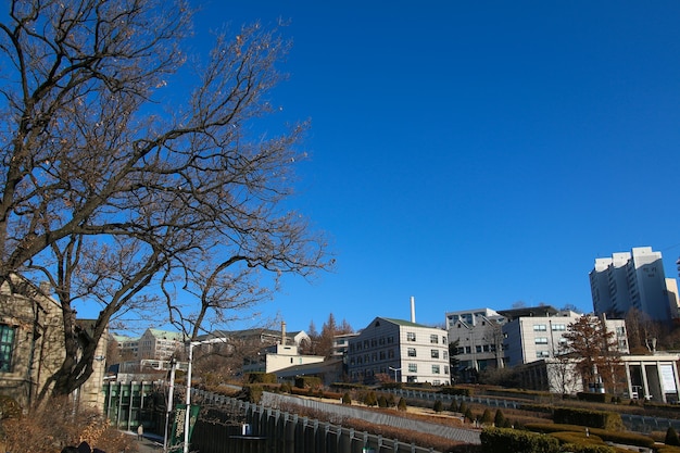 Foto ein sonniger tag in der universität