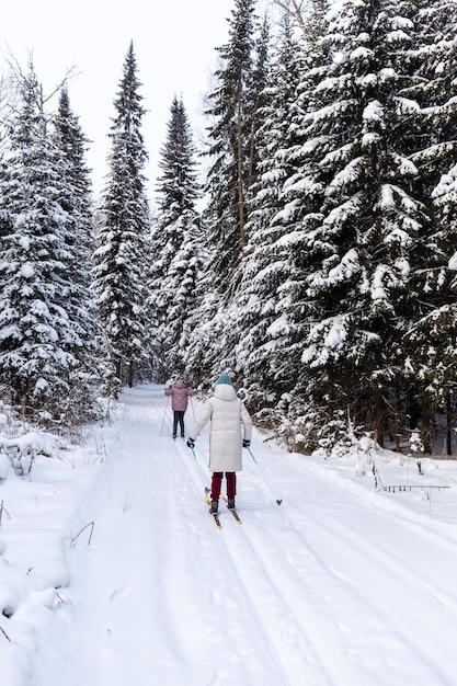 Ein Spaziergang durch den Winterwald. Schneebäume und eine Langlaufloipe. Skifahren im Wald.