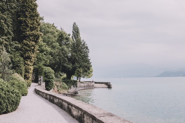 Ein Spaziergang im Nationalpark, um Blumen, grüne Bäume und den Thunersee. Sommerlandschaftshintergrund