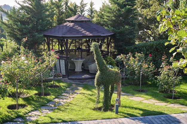 Ein Spaziergang im Park in der Nähe der Schwarzmeerküste. Urlaub im Erholungszentrum.