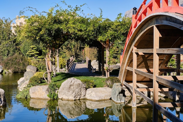 Ein Spaziergang im Park in der Nähe der Schwarzmeerküste. Urlaub im Erholungszentrum.