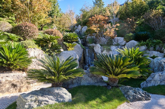 Ein Spaziergang im Park in der Nähe der Schwarzmeerküste. Urlaub im Erholungszentrum.