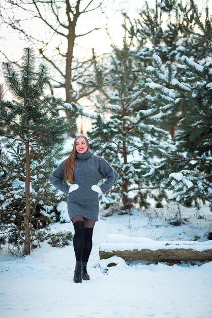 Ein Spaziergang in einem Winterwald in Polen Warmes Kleid Kiefern im Schnee