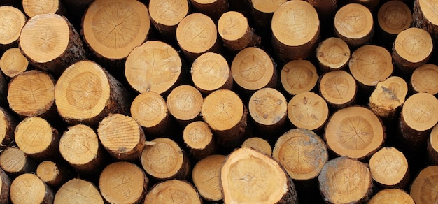 Ein Stapel Kiefernstämme als Hintergrund Holzbearbeitung Holzstruktur Protokollierung