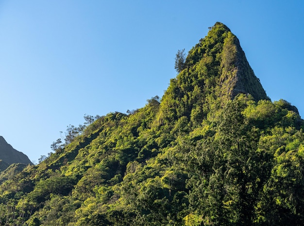 Ein steiler, mit Bäumen bedeckter Bergrücken erhebt sich über dem Aussichtspunkt Nu'uanu Pali in Oahu