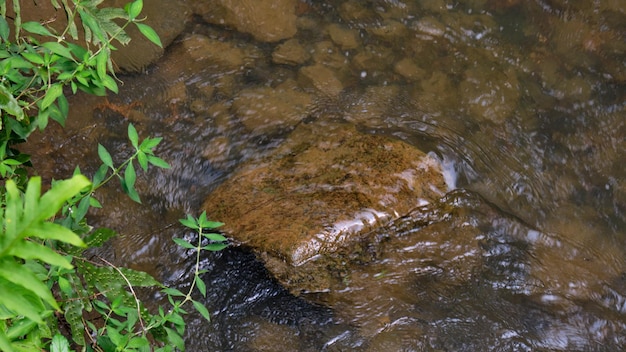 Ein Stein im Wasser