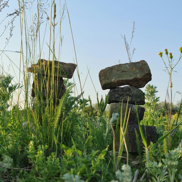 Ein Steinhaufen auf einem Feld mit hohem Gras und Unkraut.