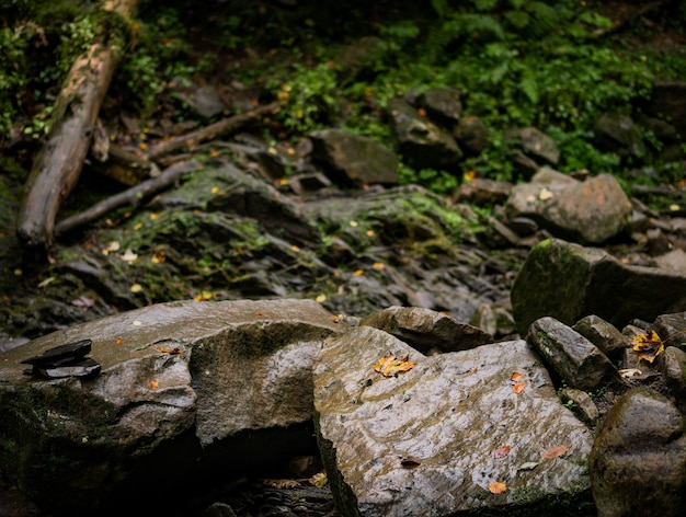 Ein Steinhaufen im Wald. Natur Hintergrund