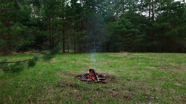 Ein sterbendes Lagerfeuer mit weißem Rauch auf einer Lichtung im Wald.