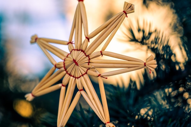 Foto ein stern aus bleistiften sitzt auf einem weihnachtsbaum.