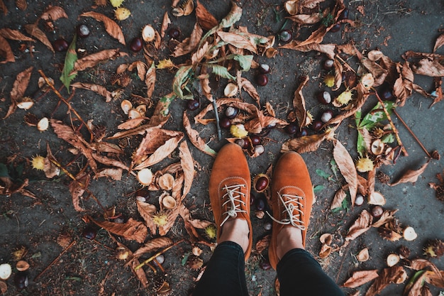 Ein Stiefel und Kastanien - lustiger Herbst