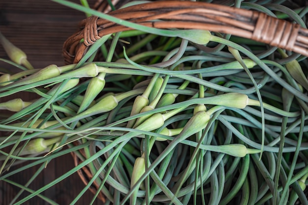 Foto ein stiel knoblauchblüten in einem weidenkorb