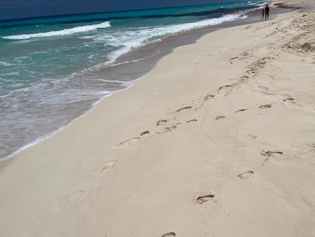 Foto ein strand mit ein paar fußspuren im sand.