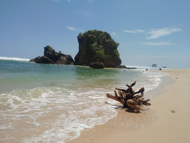 Foto ein strand mit einem baumstumpf darauf