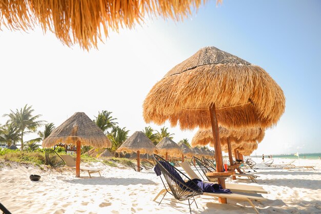 Ein Strand mit einem strohgedeckten Sonnenschirm