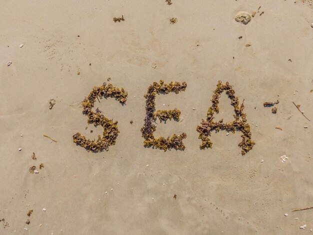 Ein Strand mit einer Inschrift im englischen Meer. Die Buchstaben bestehen aus Algen. Meeresurlaub nach dem Coronavirus COVID 19