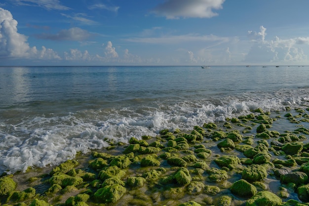 Ein Strand mit grünen Felsen und dem Ozean im Hintergrund