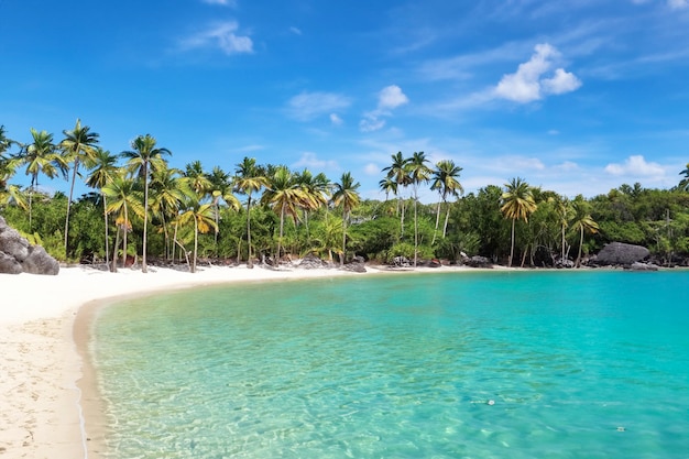 Foto ein strand mit palmen, blauen himmelswolken und einem blauen meer