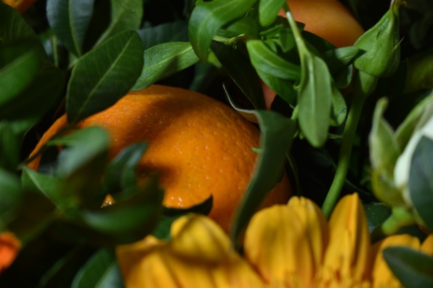 Ein Strauß Blumen und frisches Obst