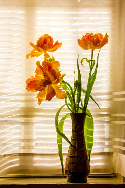 Ein Strauß gelb-orangefarbener Tulpen in einer Vase auf der Fensterbank an der Wand eines Fensters mit einem weißen Vorhang