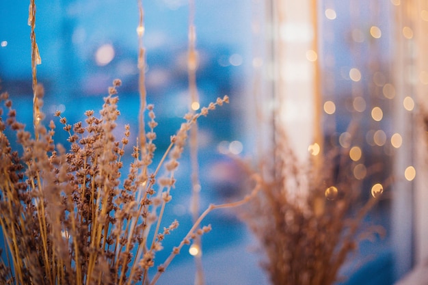 Ein Strauß Lavendel aus getrockneten Blumen auf der Fensterbank auf dem Hintergrund einer Girlande. Festliche Atmosphäre. Verschwommene Lichter.