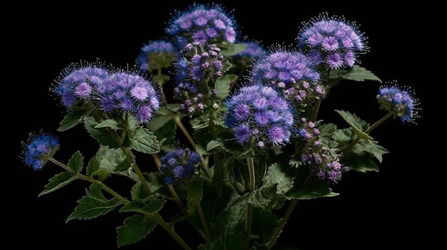 Foto ein strauß lila blumen mit dem wort feuer auf der unterseite