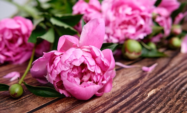 Ein Strauß rosa Pfingstrosen in einer Linie auf einer dunklen Holzoberfläche