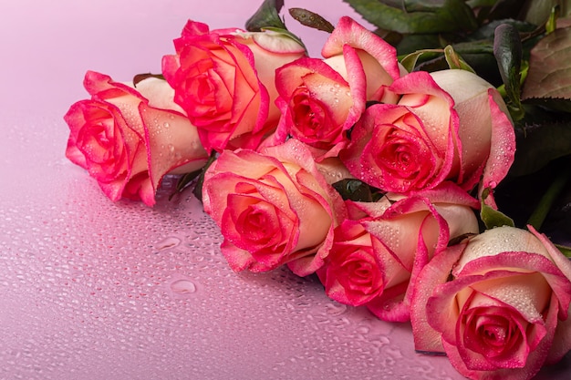 Ein Strauß Rosen für den Urlaub. Frauentag, Valentinstag, Namenstag. Auf einem rosa Hintergrund mit Reflexion. Speicherplatz kopieren
