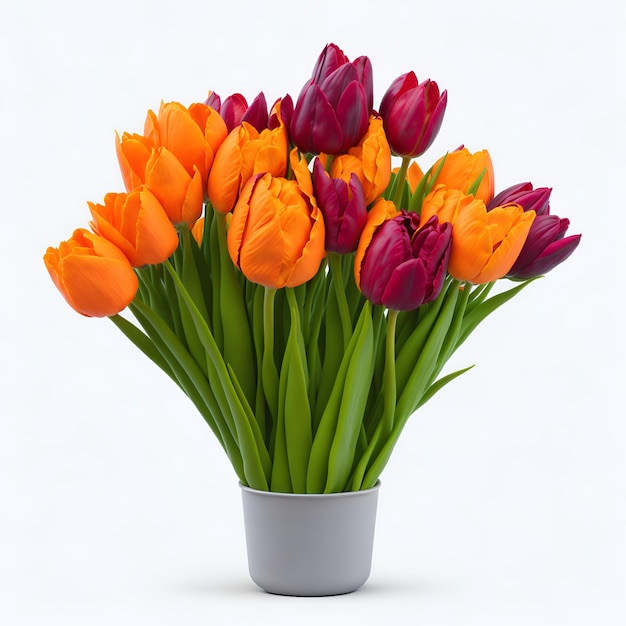 Ein Strauß Tulpen steht in einer Vase auf weißem Hintergrund.