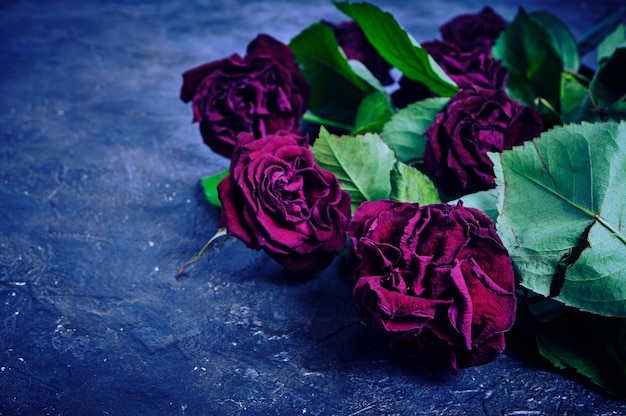 Ein Strauß verwelkter roter Rosen wird auf den schmutzigen Boden geworfen.