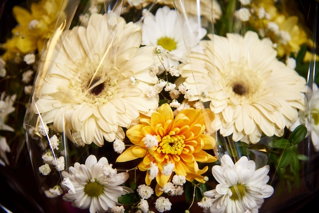 Ein Strauß weißer Gerbera und Gänseblümchen in der Packung.