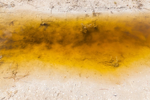 Ein Streifen gelben, schlammigen Wassers in der Mitte des Sandes