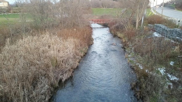 Foto ein strom fließt durch einen fluss.