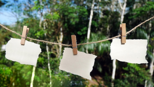 Ein Stück Papier hängt an einer Wäscheleine im Wald.