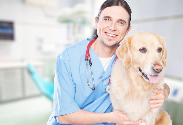 Ein süßer Hund beim Tierarzt mit einem glücklichen Arzt