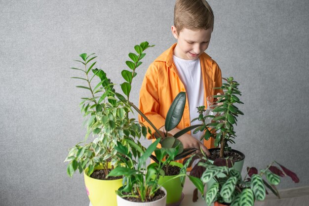 Ein süßer Junge in einem Hemd studiert grüne Zimmerpflanzen, die sich um Blumen kümmern