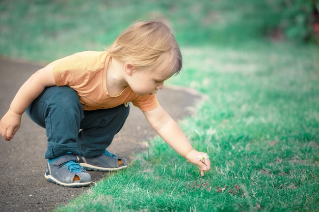 Foto ein süßer junge pflückt eine blume im gras im park