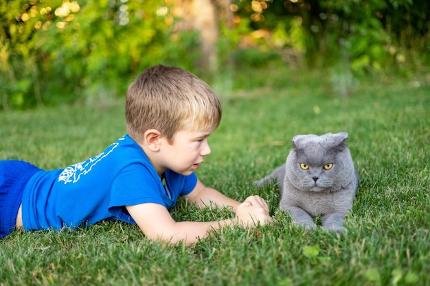 Ein süßer kleiner Junge spielt im Sommer mit einer flauschigen Haustierkatze Scottish Fold auf einer grünen Wiese im Park Kinder- und Tierfreundschaft pflegen