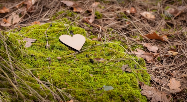 Foto ein süßes herz aus holz auf dem gras eines waldes